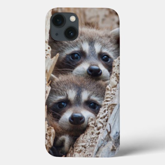 Wyoming, Lincoln County, Raccoon Case-Mate iPhone Case (Achterkant)