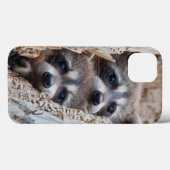 Wyoming, Lincoln County, Raccoon Case-Mate iPhone Case (Achterkant (horizontaal))