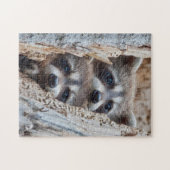 Wyoming, Lincoln County, Raccoon Legpuzzel (Horizontaal)