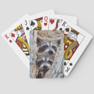 Wyoming, Lincoln County, Raccoon Pokerkaarten