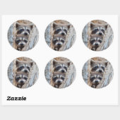 Wyoming, Lincoln County, Raccoon Ronde Sticker (Vel)