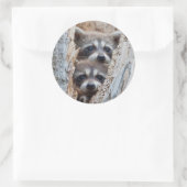 Wyoming, Lincoln County, Raccoon Ronde Sticker (Tas)