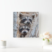 Wyoming, Lincoln County, Raccoon Vierkante Klok (Huis)