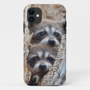 Wyoming, Lincoln County, Wasbeer Case-Mate iPhone Case