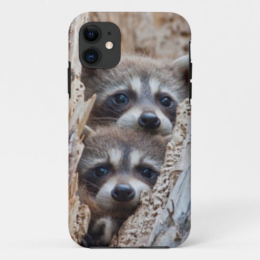 Wyoming, Lincoln County, Wasbeer Case-Mate iPhone Case (Achterkant)