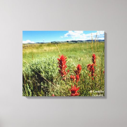 Wyoming Meadow in Summer2 Canvas Afdruk (Voorkant)