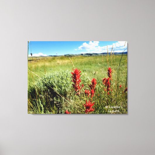 Wyoming Meadow in Summer2 Canvas Afdruk (Voorkant)
