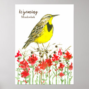 Wyoming Meadowlark Songbird Indian Paintborstel Poster
