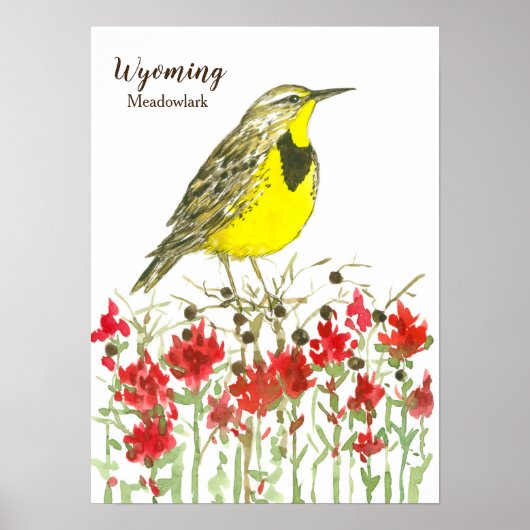 Wyoming Meadowlark Songbird Indian Paintborstel Poster (Voorkant)