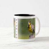 Wyoming Mok-Meadowlark Tweekleurige Koffiemok (Voorkant rechts)