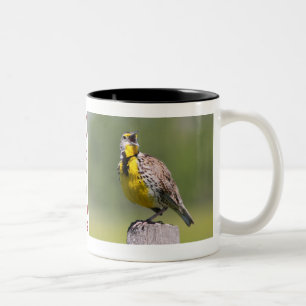 Wyoming Mok-Meadowlark Tweekleurige Koffiemok