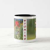 Wyoming Mok-Meadowlark Tweekleurige Koffiemok (Center)