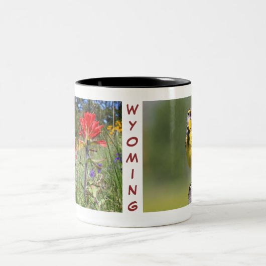 Wyoming Mok-Meadowlark Tweekleurige Koffiemok (Center)