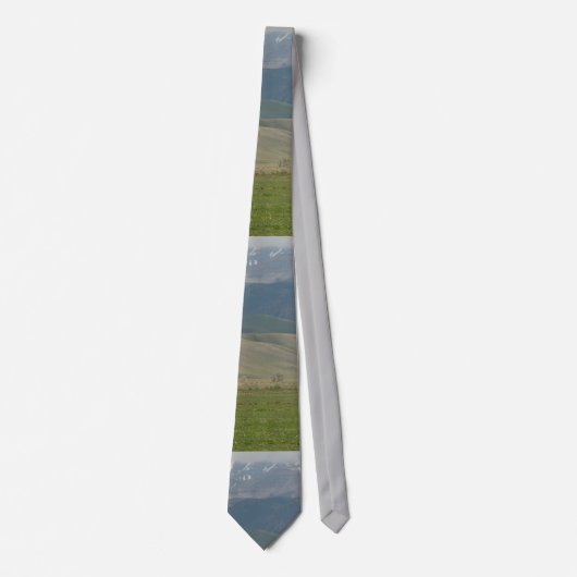 Wyoming Mountain Scene Necktie Stropdas (Voorkant)