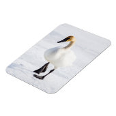 Wyoming, Nationaal Elk Toevluchtsoord, Trompetter  Magneet (Linkerzijde)