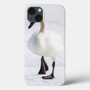 Wyoming, National Elk Refuge, Trumpeter Swan 1 iPhone 13 Hoesje