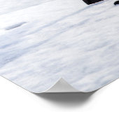 Wyoming, National Elk Refuge, Trumpeter Swan 1 Poster (Hoek)