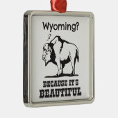 Wyoming? Omdat het prachtig is Metalen Ornament (Rechts)