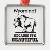 Wyoming? Omdat het prachtig is Metalen Ornament (Voorkant)