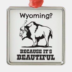 Wyoming? Omdat het prachtig is Metalen Ornament