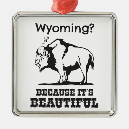 Wyoming? Omdat het prachtig is Metalen Ornament (Voorkant)