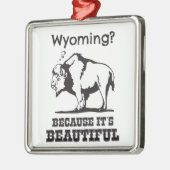 Wyoming? Omdat het prachtig is Metalen Ornament (Links)