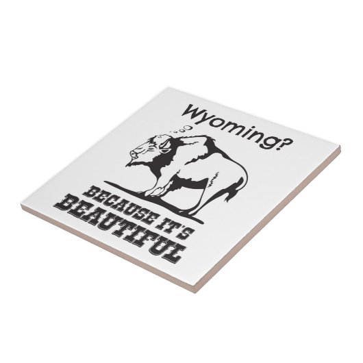 Wyoming? Omdat het prachtig is Tegeltje (Zijkant)