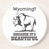 Wyoming? Omdat het prachtig is Zandsteen Onderzetter (Voorkant)