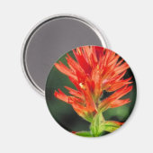 Wyoming Paintborstel Magneet (Voorkant / Achterkant)