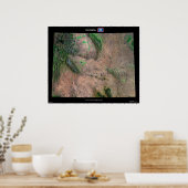 Wyoming Poster (Keuken)