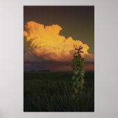 Wyoming Poster (Voorkant)