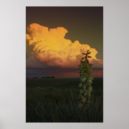 Wyoming Poster (Voorkant)