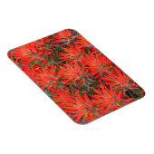 Wyoming, provincie Lincoln, woestijn, penseel Magneet (Rechterzijde)