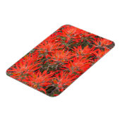 Wyoming, provincie Lincoln, woestijn, penseel Magneet (Linkerzijde)