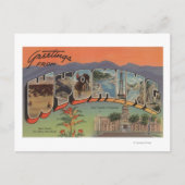 Wyoming (staatskapitaal/bloem) briefkaart (Voorkant)