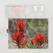 Wyoming State Flower: Indische penseel Briefkaart (Voorkant / Achterkant)