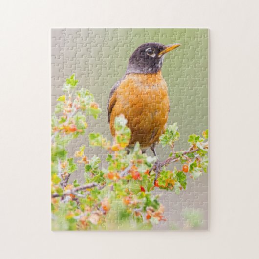 Wyoming, Sublette County, An American Robin Legpuzzel (Verticaal)