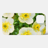 Wyoming, Sublette County, Close of a group Case-Mate iPhone Case (Achterkant (horizontaal))