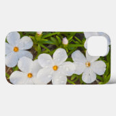 Wyoming, Sublette County, Close of Phlox Case-Mate iPhone Case (Achterkant (horizontaal))