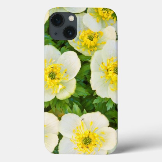 Wyoming, Sublette County, Close-up of a group Case-Mate iPhone Case (Achterkant)
