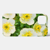 Wyoming, Sublette County, Close-up of a group Case-Mate iPhone Case (Achterkant (horizontaal))