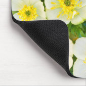 Wyoming, Sublette County, Close-up of a group Muismat (Hoek)