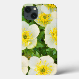 Wyoming, Sublette County, Close-up van een groep Case-Mate iPhone Case