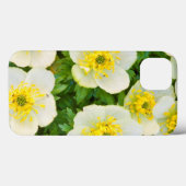 Wyoming, Sublette County, Close-up van een groep Case-Mate iPhone Case (Achterkant (horizontaal))