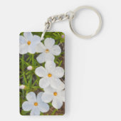 Wyoming, Sublette County, Close-up van Phlox Sleutelhanger (achterkant)