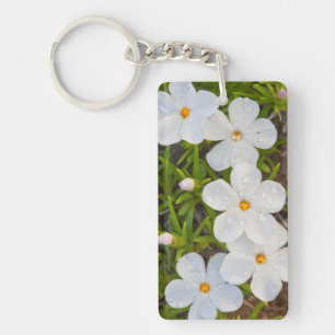 Wyoming, Sublette County, Close-up van Phlox Sleutelhanger