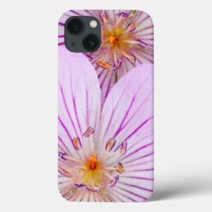 Wyoming, Sublette County, Close-up van twee klever iPhone 13 Hoesje