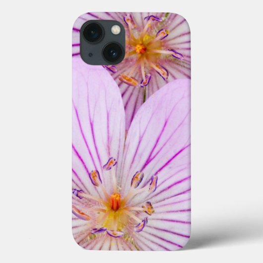 Wyoming, Sublette County, Close-up van twee klever Case-Mate iPhone Case (Achterkant)