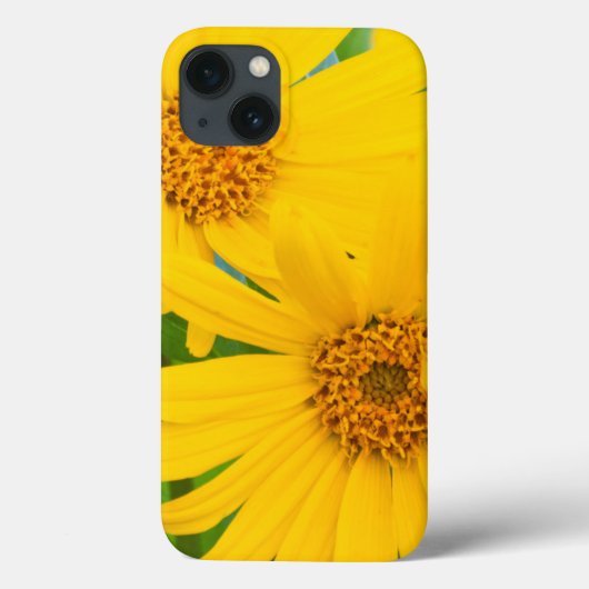 Wyoming, Sublette County, Close-up van twee pijlpu Case-Mate iPhone Case (Achterkant)
