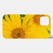 Wyoming, Sublette County, Close-up van twee pijlpu Case-Mate iPhone Case (Achterkant (horizontaal))